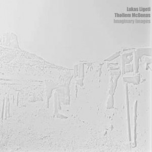Lukas Ligeti, Thollem Mcdonas CD cover